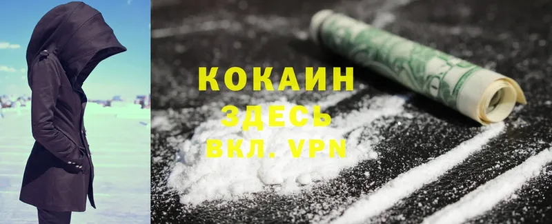 где продают наркотики  Куртамыш  Cocaine Fish Scale 