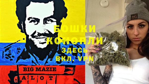 a pvp Новозыбков