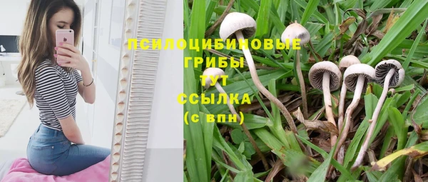 твердый Новокубанск